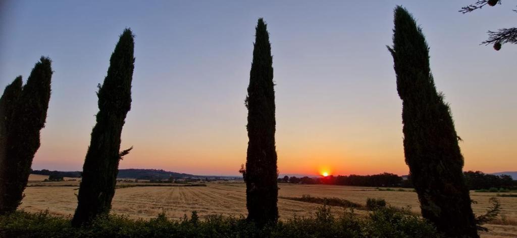 Agriturismo Il Canneto กาโซเล เดลซา ภายนอก รูปภาพ
