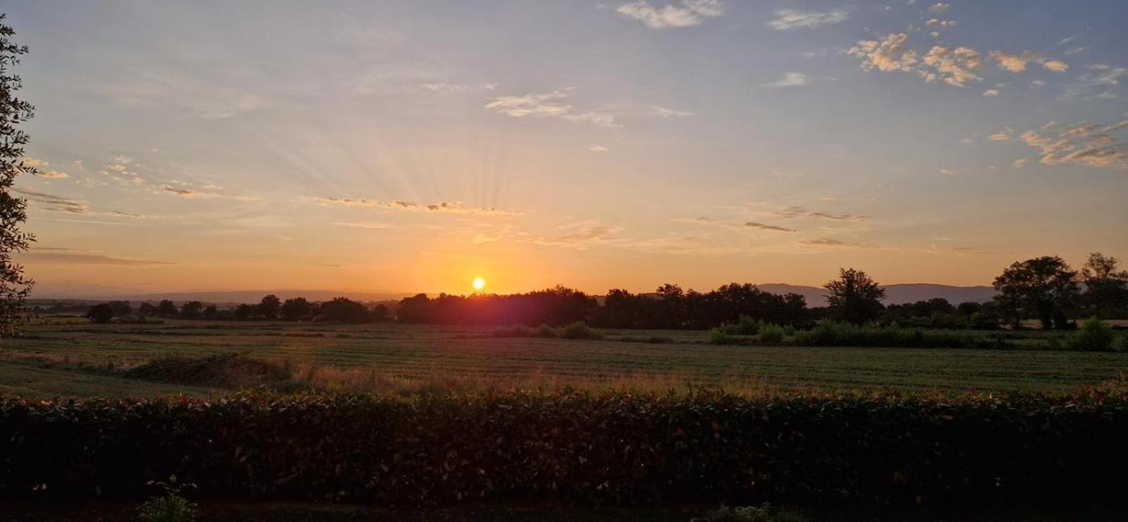 Agriturismo Il Canneto กาโซเล เดลซา ภายนอก รูปภาพ
